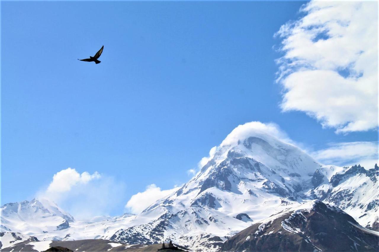 Hotel Noa Kazbegi Bagian luar foto